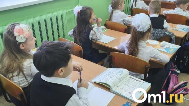 С сентября омские школьники начнут изучать творчество Shaman’а и Газманова