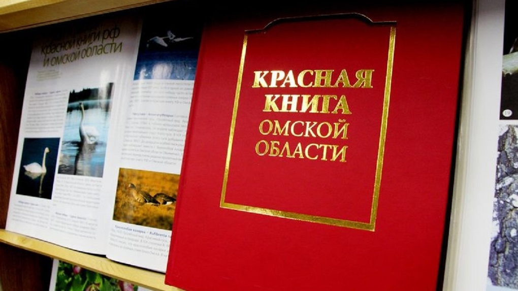 В Омской области теперь можно охотиться на исключенных из Красной книги животных