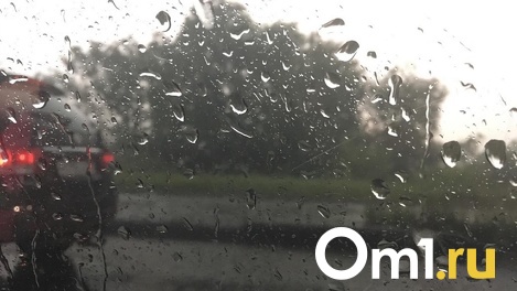 Жаркие дожди: стал известен прогноз погоды на июнь в Новосибирске