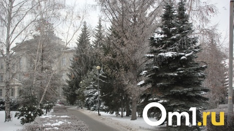 Резкое похолодание ожидается на Крещение в Новосибирске