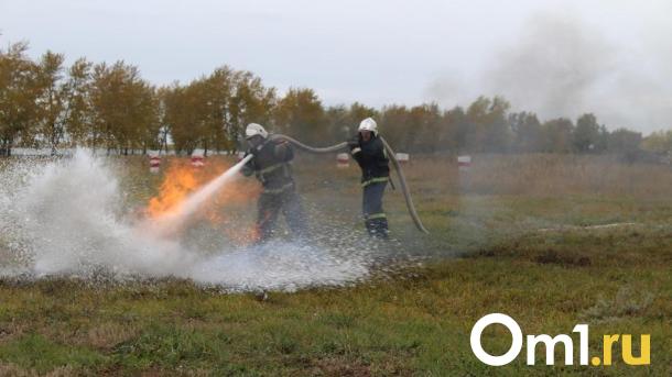 Омичам напомнили о штрафах за сжигание сухой травы и мусора