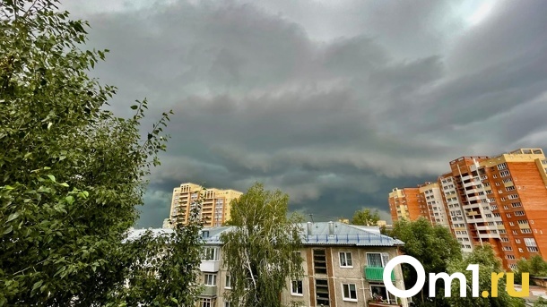 Переменчивая погода с грозами и сильным ветром накроет Омск в конце недели