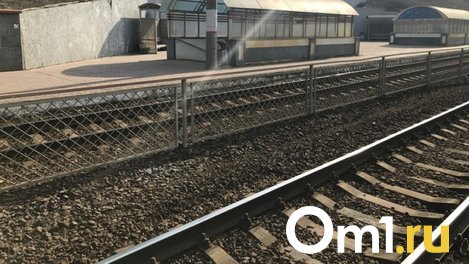 В Омске возле железнодорожных путей был обнаружен труп