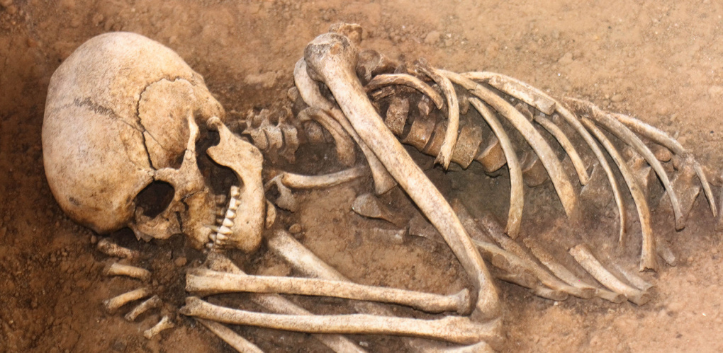 Найденным в Омске человеческим останкам оказалось не менее полувека