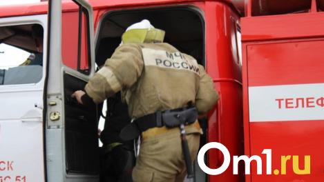 Выгорела кабина: на трассе Омск — Новосибирск вспыхнула фура