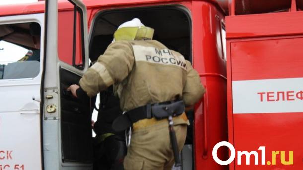 Выгорела кабина: на трассе Омск — Новосибирск вспыхнула фура