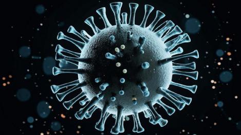 Новый вирус Кэмп-Хилл: что известно учёным о находке в США