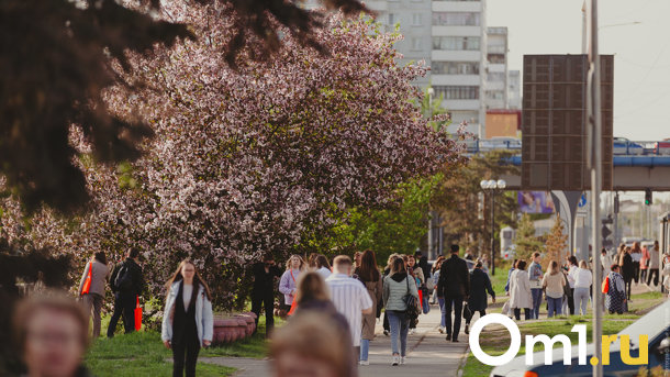 К 2080 году из-за глобального потепления столицу России могут перенести в Омск