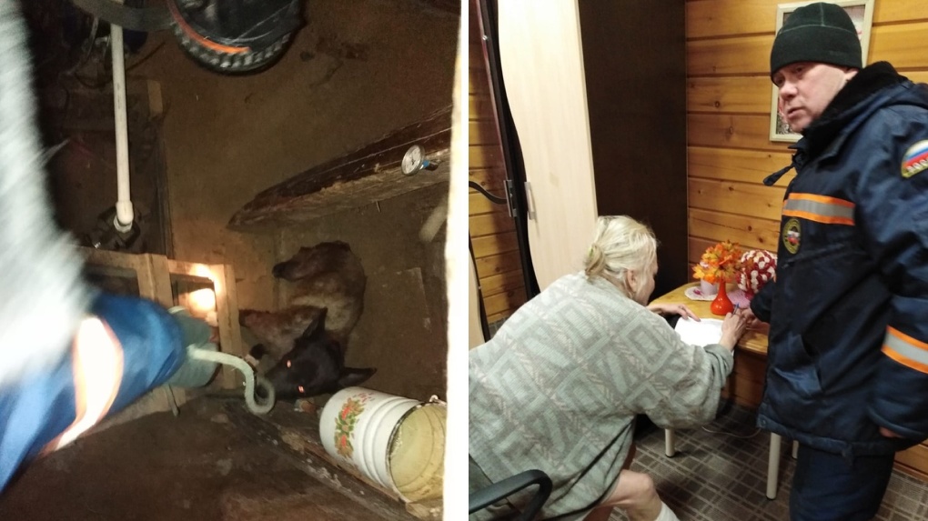 Пенсионерка из Новосибирской области позвала на помощь спасателей, чтобы помочь упавшей в подпол собаке