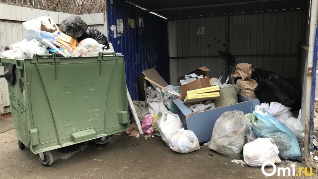 Дополнительную комиссию для обсуждения мусорной концессии соберут в Заксобрании Новосибирской области