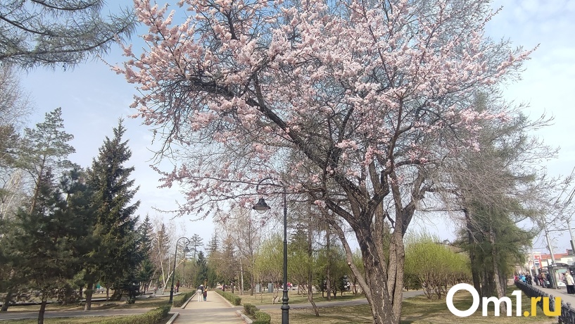 Изображение фоторепортажа