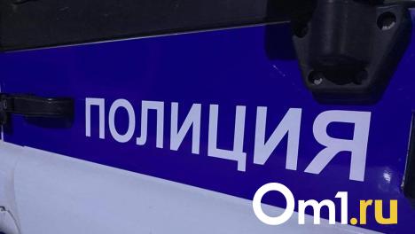 В омской полиции рассказали, кому звонил ненастоящий Сергей Шелест