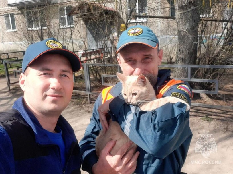 Изображение фоторепортажа