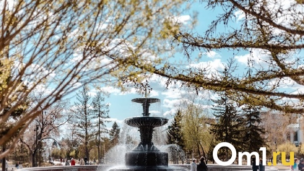 Можно гулять спокойно: Омск обработали от клещей и грызунов