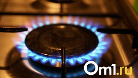 На севере Омской области внезапно отключили газ