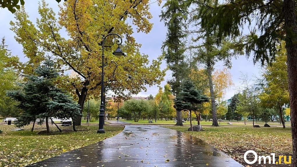 В омском парке 30-летия ВЛКСМ за этот год высадили свыше 1 000 деревьев