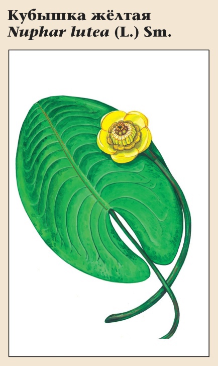 Изображение фоторепортажа