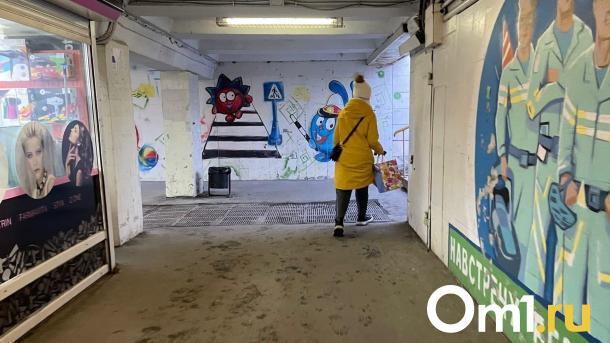 В Омске из больницы пропала женщина с 5-летней дочерью