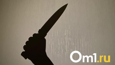 В Омской области школьника подозревают в покушении на убийство