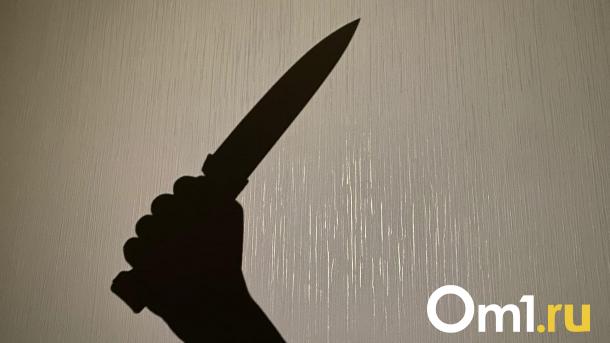 В Омской области школьника подозревают в покушении на убийство