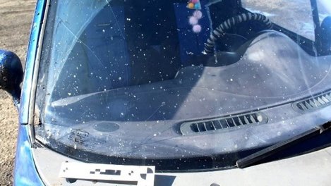 В селе под Омском пьяный мужчина палкой разбил чужую иномарку