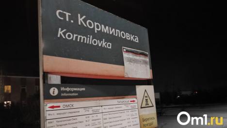 Стало известно, во сколько обойдётся ремонт путепровода в Кормиловке