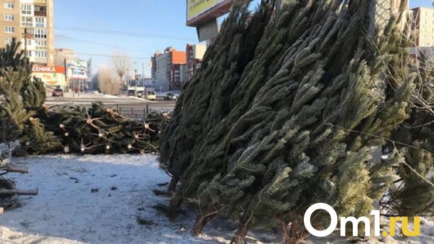 В омских Нефтяниках нашли 7 точек с незаконной продажей ёлок