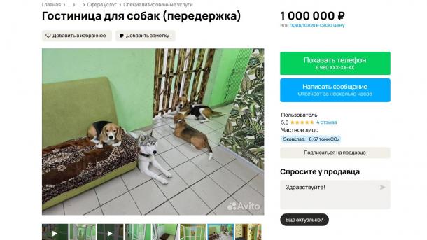 В Омской области за миллион рублей продаётся популярный отель для собак