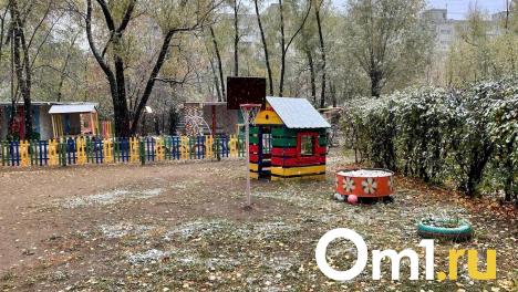 В Омской области в первые дни сентября ударят морозы