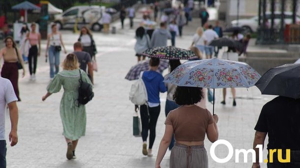 От +20 до +3: в Омскую область на выходных придёт резкое похолодание