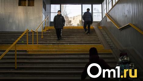 В Омске появится ещё один музыкальный переход