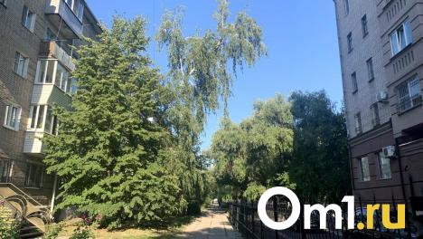 На улице, благоустроенной всего месяц назад, появилась опасная дыра