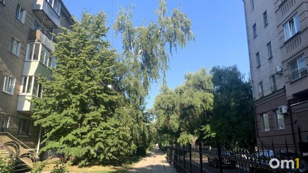 На улице, благоустроенной всего месяц назад, появилась опасная дыра