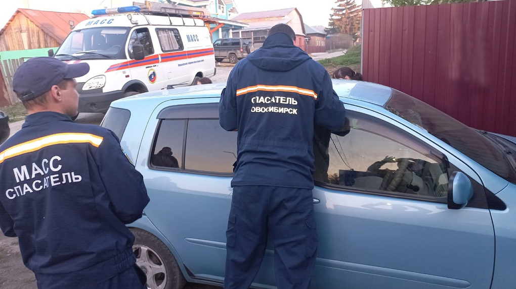 Родители заперли ребёнка в автомобиле в Новосибирске