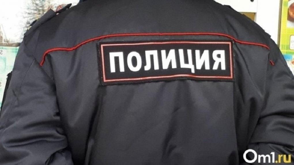 В Омской области двое пьяных мужчин избили и ограбили мальчика