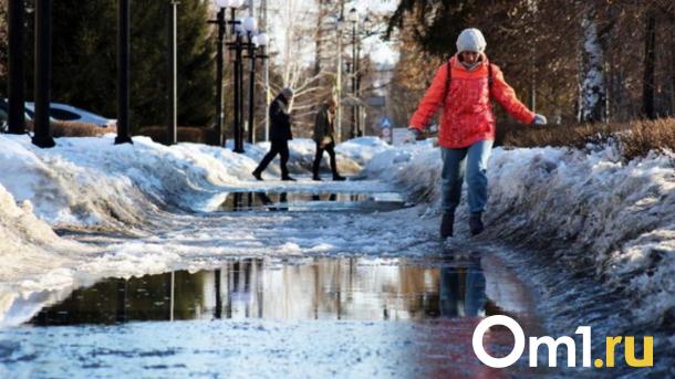Зима сдаёт позиции: в Новосибирске ожидается тёплая погода