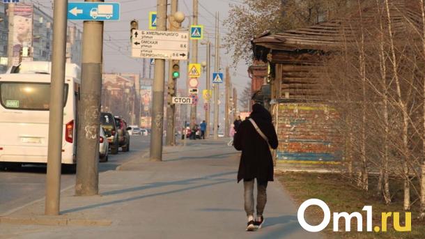Сразу в четырёх округах Омска в воздухе нашли превышение вредных примесей