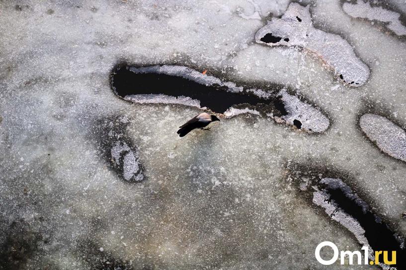 Изображение фоторепортажа