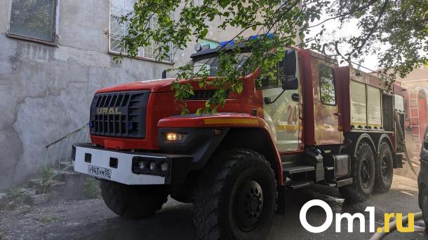 В Омской области при пожаре погибли двое детей и двое подростков