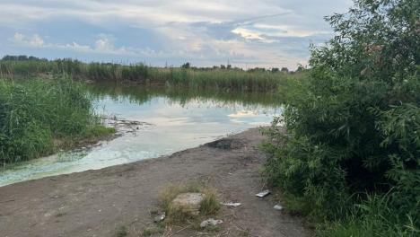 В Омске в озере утонул мужчина – следователи проводят проверку