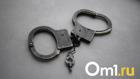 В Омской области пятерых иностранцев отправили в СИЗО за незаконное пересечение границы