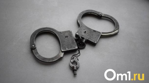 В Омской области пятерых иностранцев отправили в СИЗО за незаконное пересечение границы