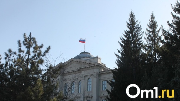 Министр образования Омской области ушла на больничный