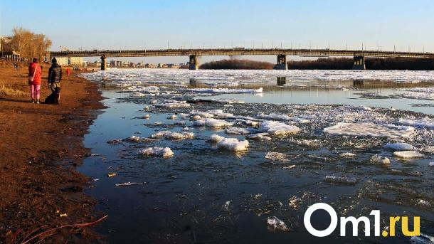 Весной в Омске начнут благоустройство пляжа «Центральный-2»