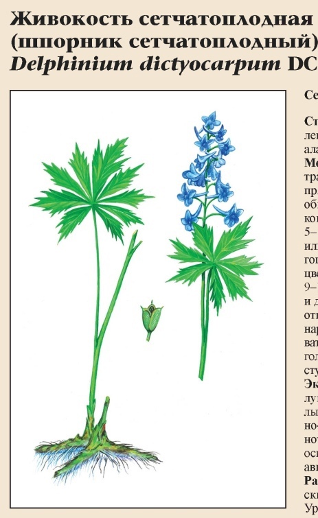 Изображение фоторепортажа