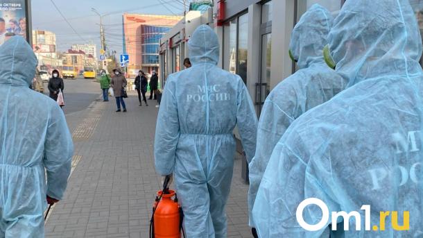 Омский Роспотребнадзор опроверг сообщения о новом вирусе с тяжёлым течением