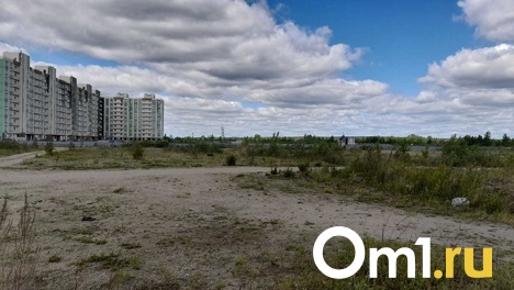 Слёзы из-за обмана: дольщики новосибирского ЖК «Новомарусино» пять лет платят деньги за воздух