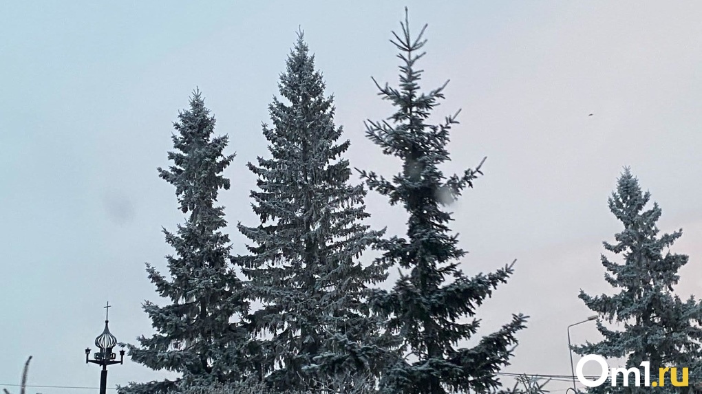 В Новосибирске ударил аномальный мороз: ожидается похолодание до — 50 градусов