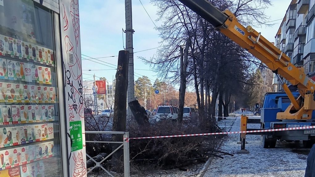 В Новосибирске приступили к вырубке деревьев возле остановки «Стадион Сибирь»