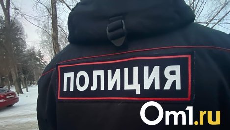 В Омске со строительных лесов упал и насмерть разбился мужчина